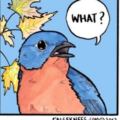 Coyotle :flag_nonbinary: