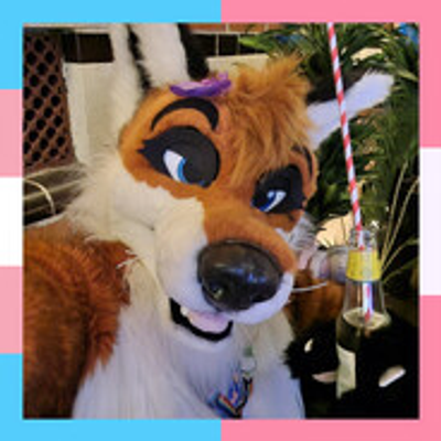 darkfox@tech.lgbt
