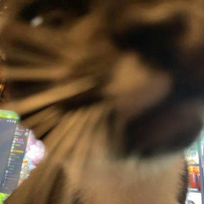 meowbotage@tech.lgbt