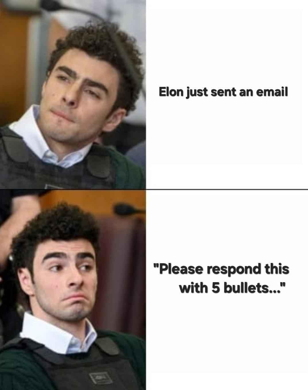 Meme with Luigi looking away from "Elon just sent an email" and then looking positively at the text "Please respond to this with five bullets..." Meme with Luigi looking away from "Elon just sent an email" and then looking positively at the text "Please respond to this with five bullets..."