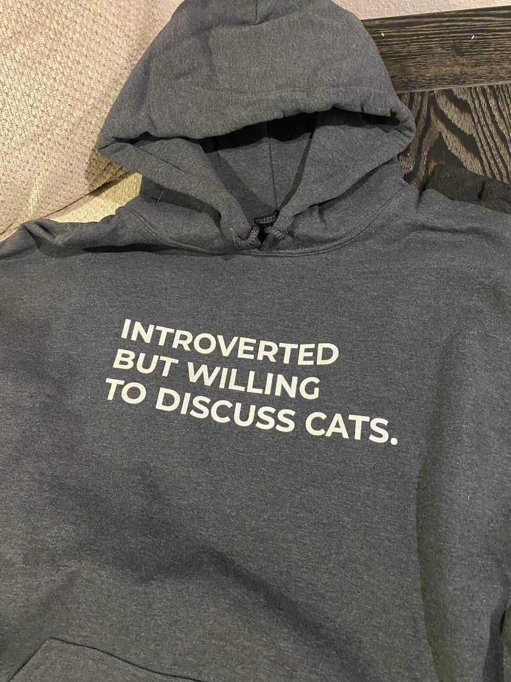 Hoodie with the text "introverted but willing to discuss cats."