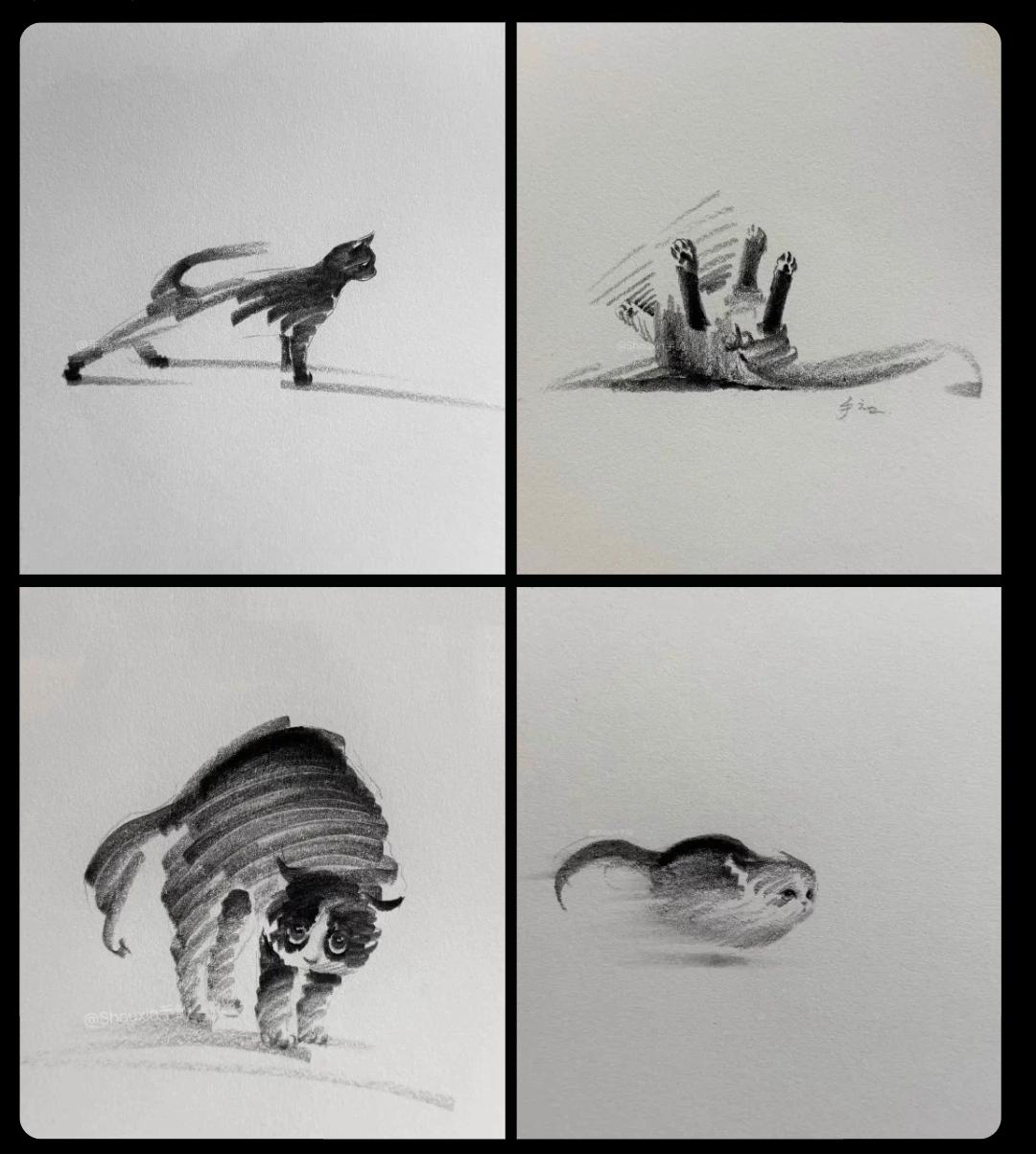Four sketches of cats in different poses, drawn in minimal strokes in pencil.