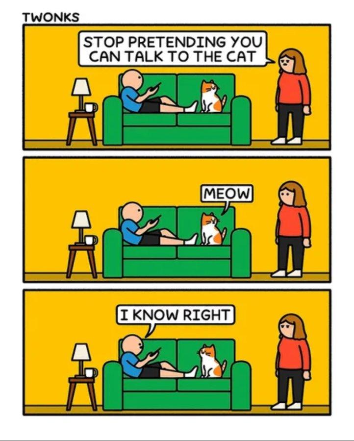 A cartoon of a man laying on the safe next to his cat. His wife is standing by them -
Frame 1
Wife: "Stop pretending you can talk to the cat"
Frame 2
Cat: "Meow"
France 3:
Husband: "I know right"