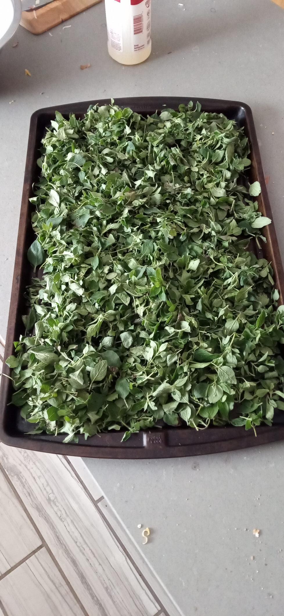 Posted media