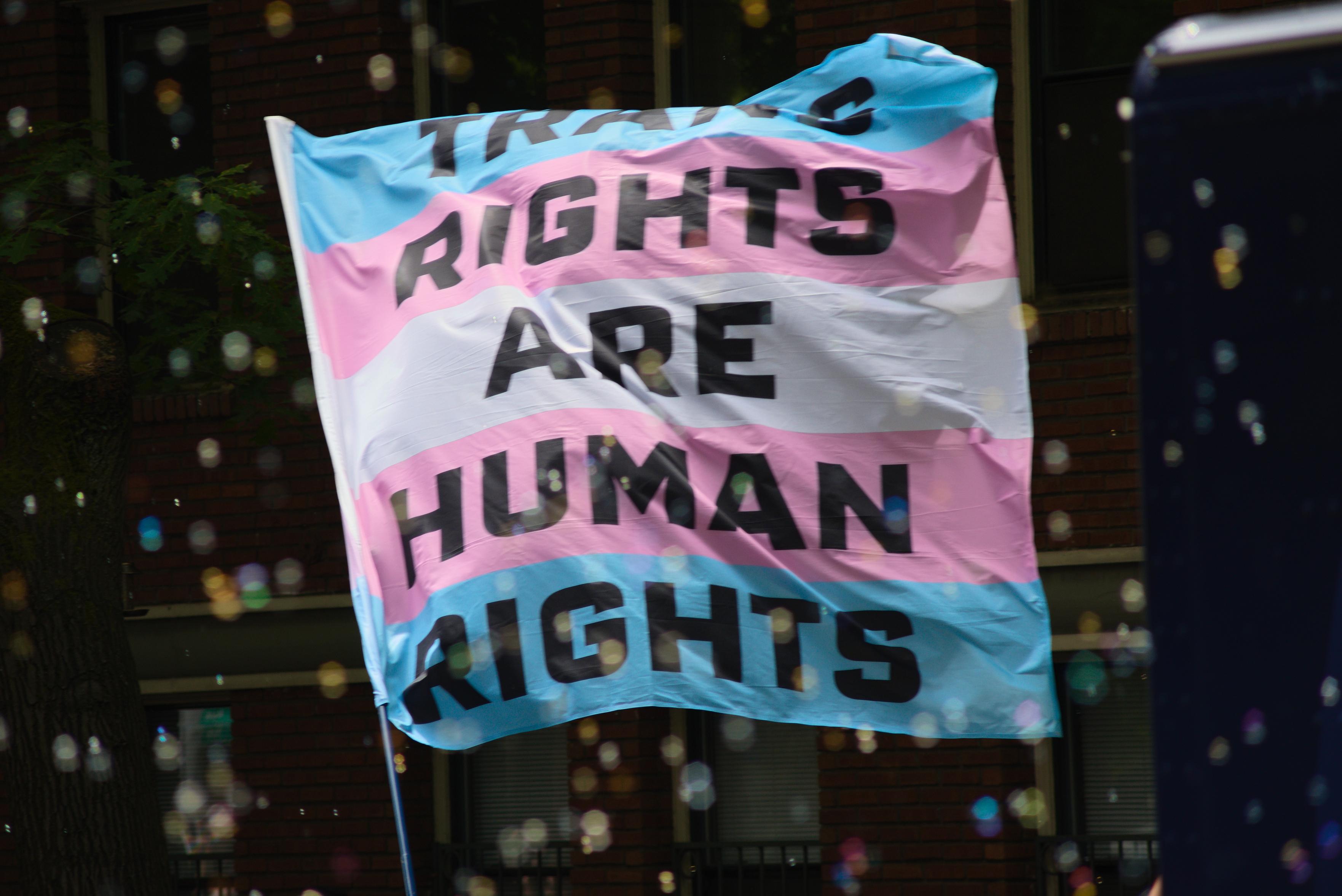There's a large flag in the trans flag colors, and in large block letters it reads "Trans Rights Are Human Rights". It's flying above a crowd and there's a bunch of bubbles that are out-of-focus.