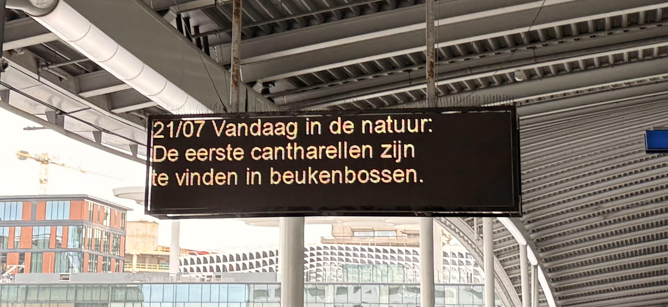 “Vandaag in de natuur”-bord op Utrecht CS
21/7 De eerste cantharellen zijn te vinden in de beukenbossen.