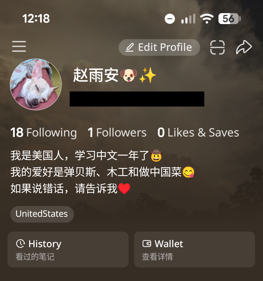 rednote profile
pfp: a sleeping chihuahua
profile name: 赵雨安 [dog emoji] [sparkle emoji]

我是美国人，学习中文一年了 [cowboy emoji]
我的爱好是弹贝斯、木工和做中国菜 [yum emoji]
如果说错话，请告诉我 [heart emoji]