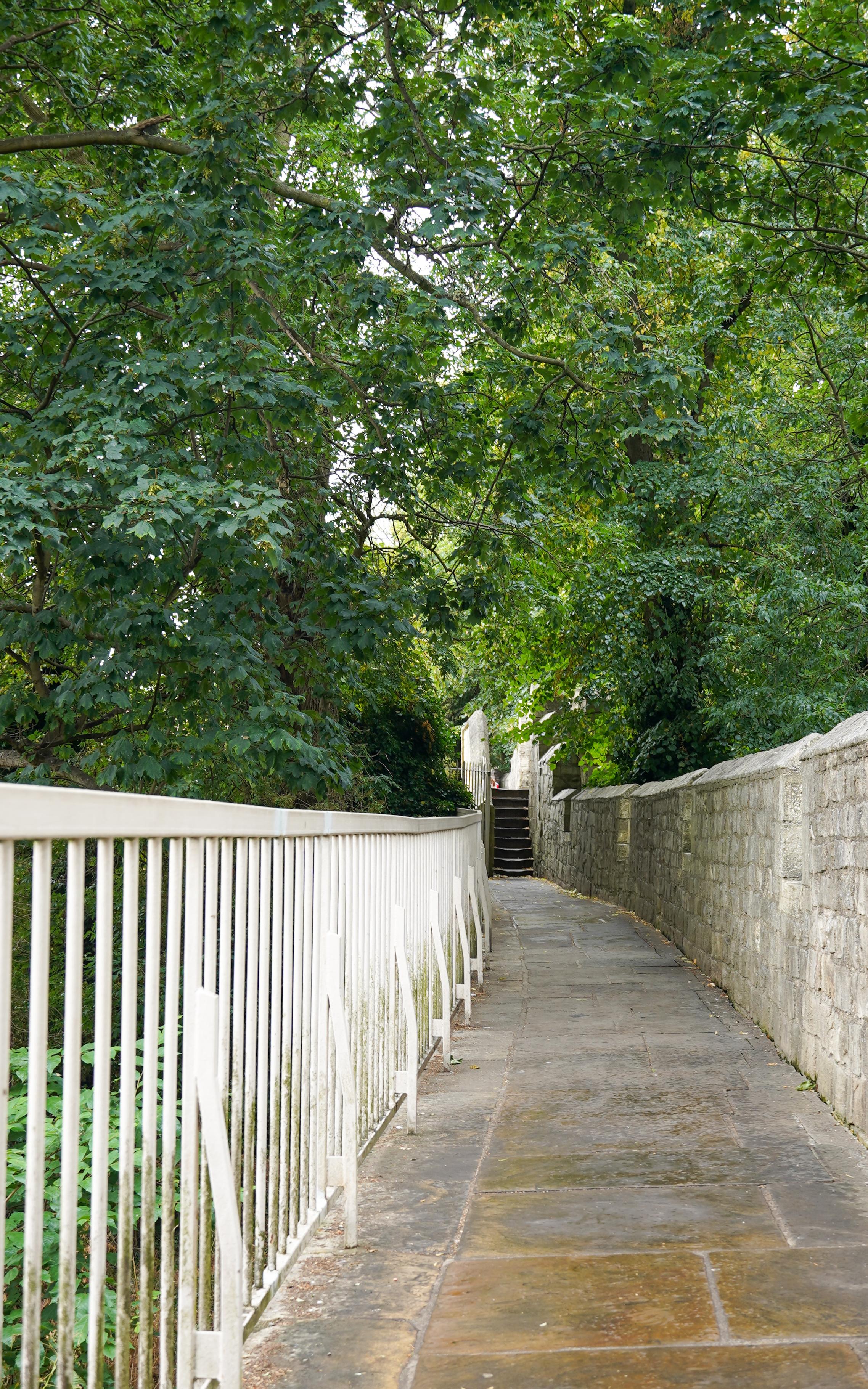 A stone-flagged pathway curves gently between a white-painted metal railing on the left and a low grey stone wall on the right, both weathered with age. Large green leafy trees arch overhead, and a short flight of stone steps rises into the greenery further along the path.