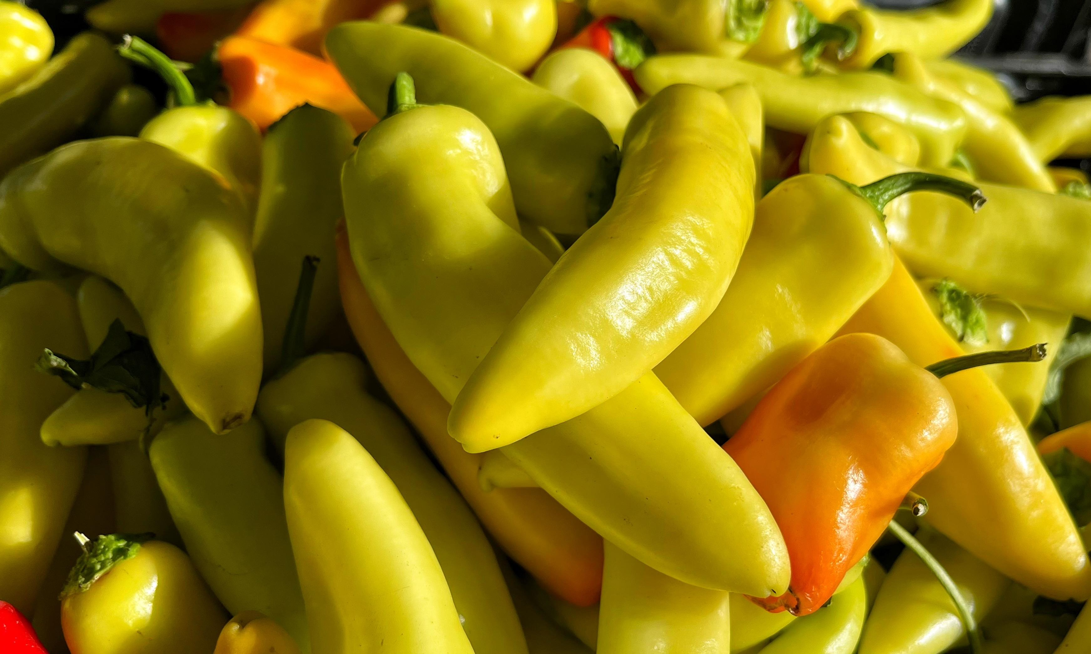 A display of mostly yellow, and a few orange, slim, waxy-skinned chiles in a heaping pile, glowing in the morning sun at the local farmers market.