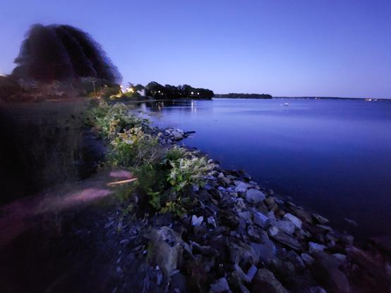 Posted media